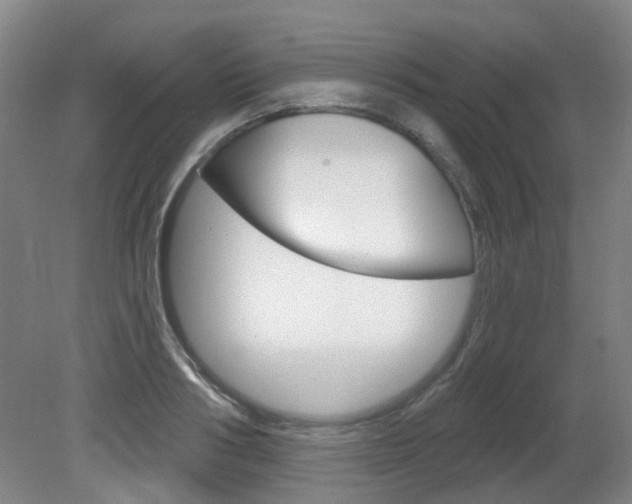 X0000082180986200701191048