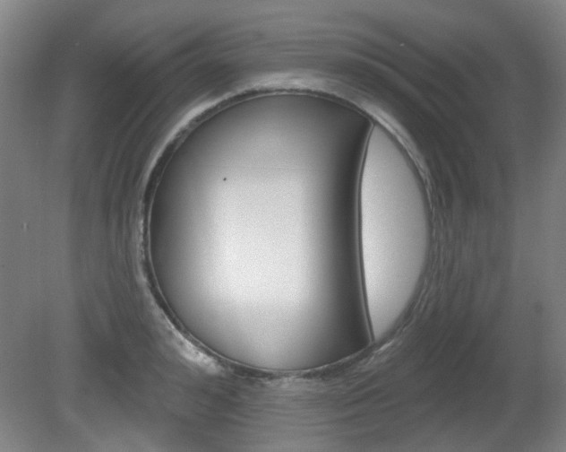 X0000082180992200701191048