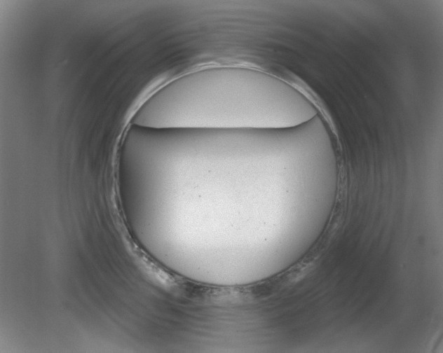 X0000082181002200701191048