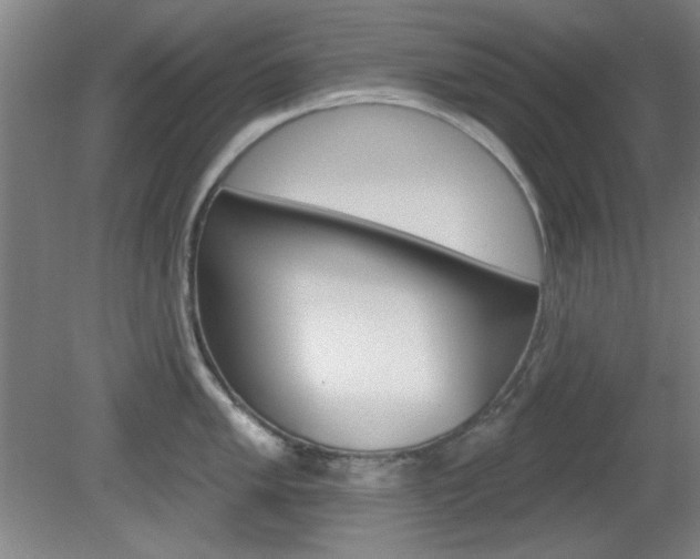 X0000082181005200701191048