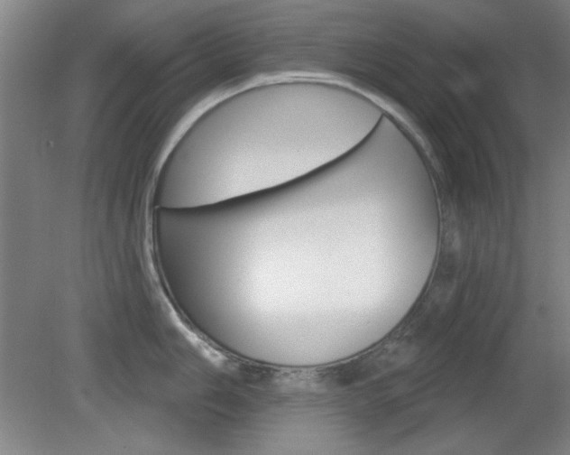 X0000082181006200701191048