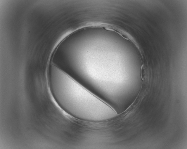 X0000082181007200701191048