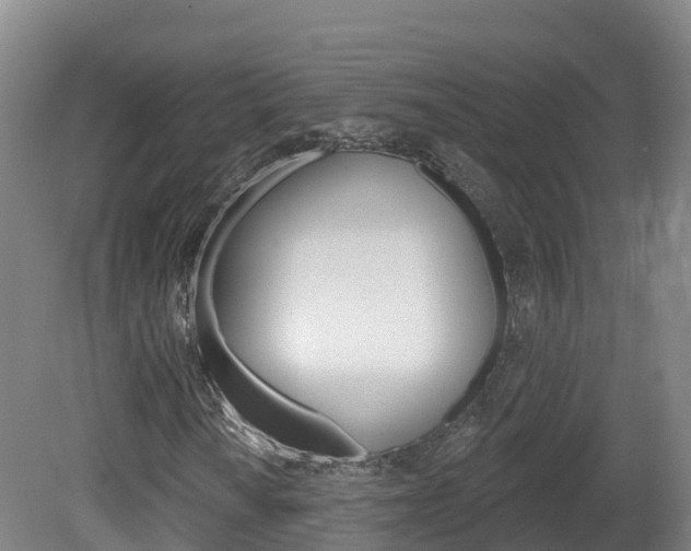 X0000082181010200701191047