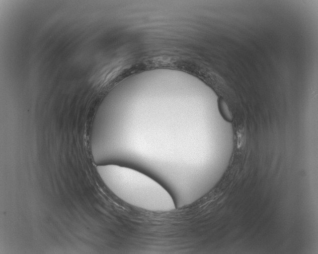 X0000082181011200701191047