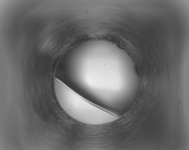 X0000082181012200701191047