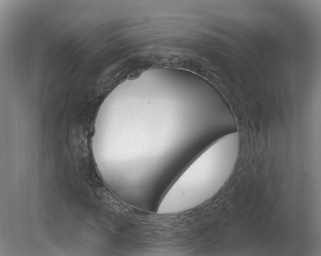 X0000082181013200701191047