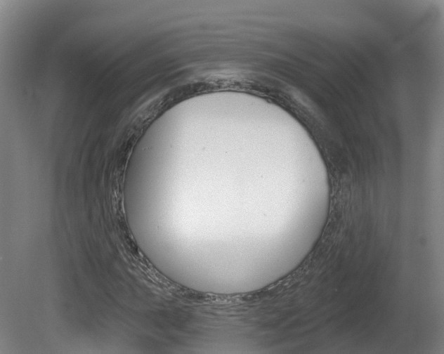 X0000082181015200701191047