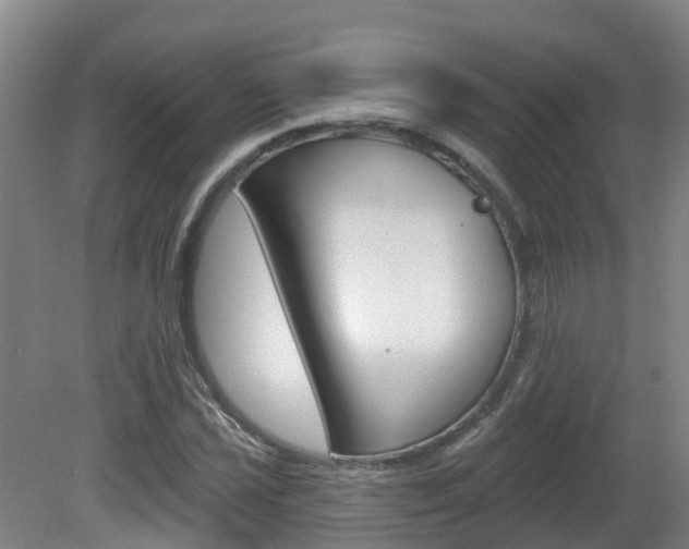 X0000082181021200701191047