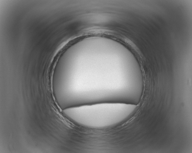 X0000082181023200701191047