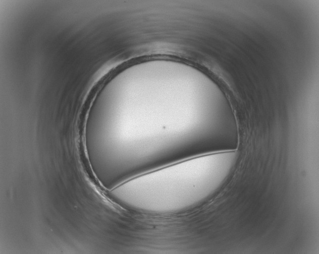 X0000082181024200701191047
