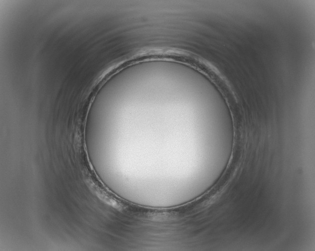 X0000082181025200701191047