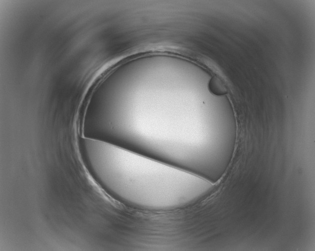 X0000082181032200701191047