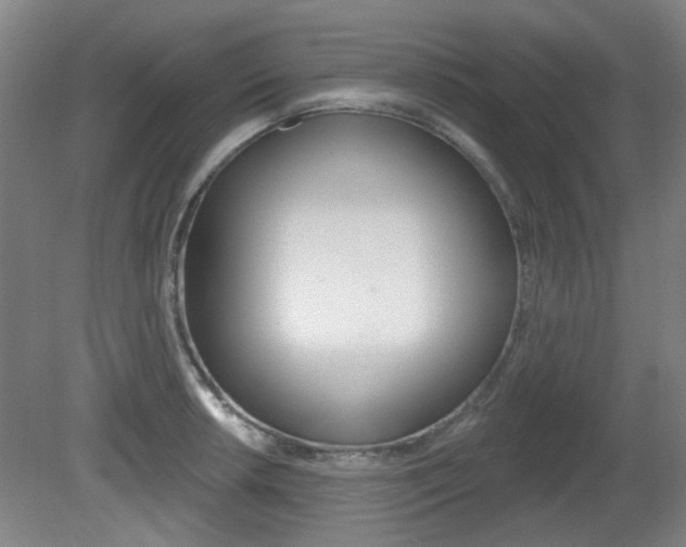 X0000082181042200701191047