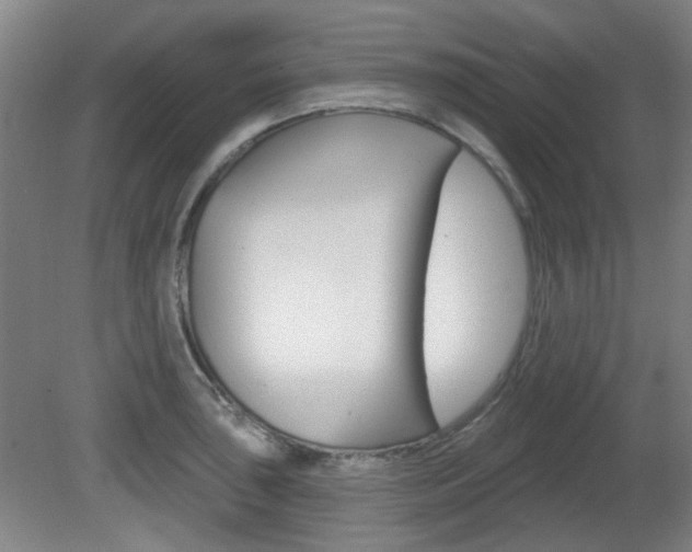 X0000082181043200701191047