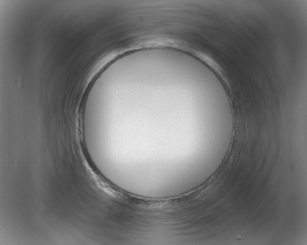 X0000082181047200701191047