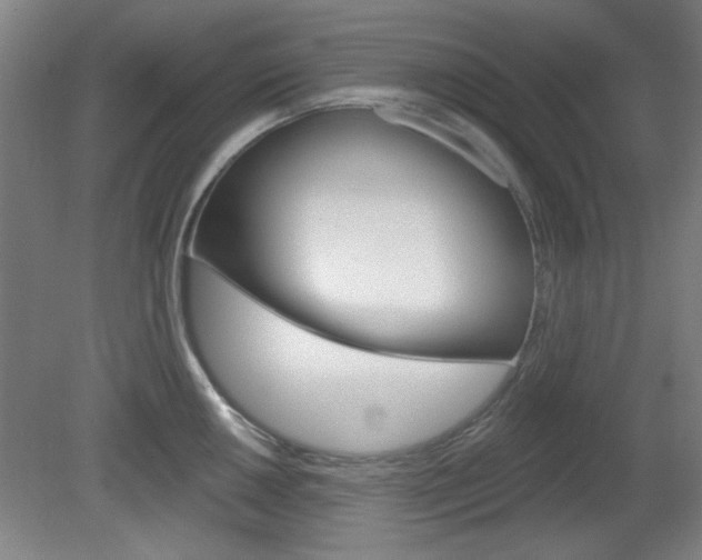 X0000082181050200701191047
