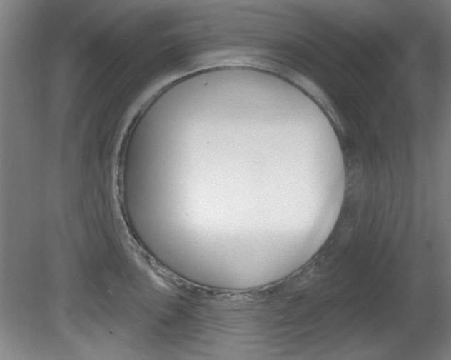 X0000082181051200701191047