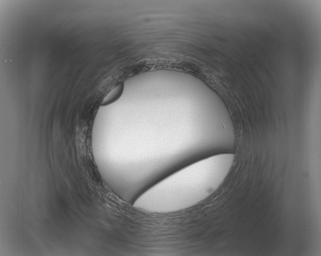 X0000082181059200701191047