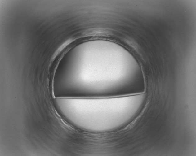 X0000082181066200701191047