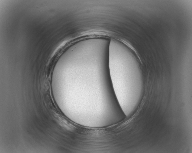 X0000082181067200701191047
