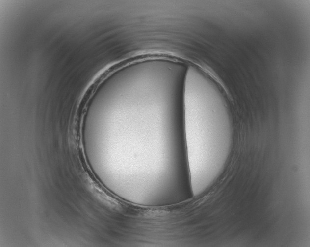 X0000082181068200701191047