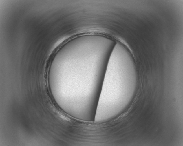 X0000082181071200701191046