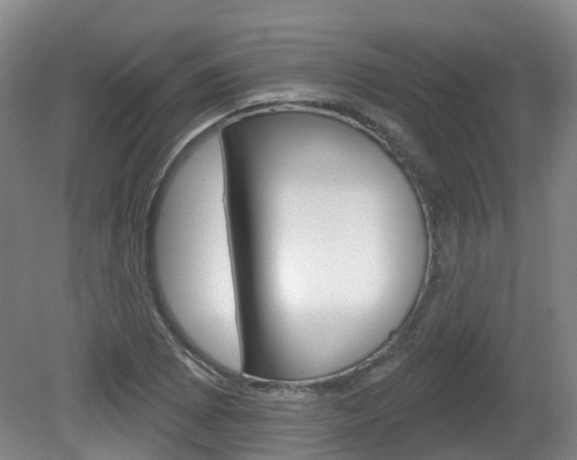 X0000082181073200701191046