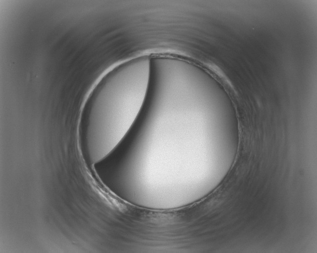 X0000082181076200701191046