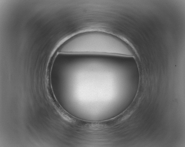 X0000082181077200701191046