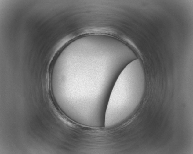 X0000082181079200701191046