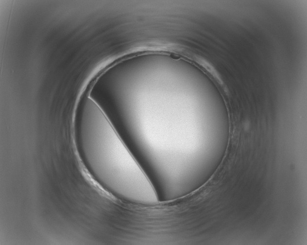 X0000082181080200701191046
