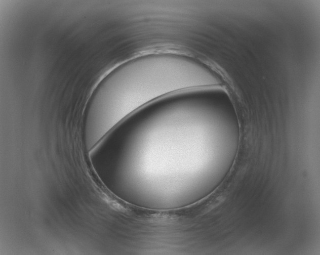 X0000082181081200701191046