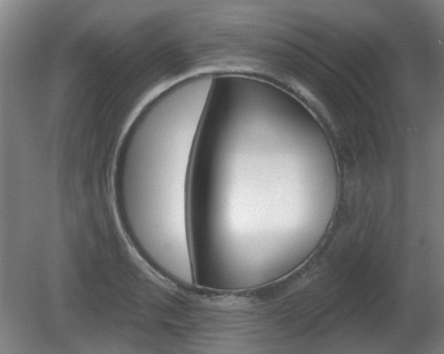 X0000082181085200701191046