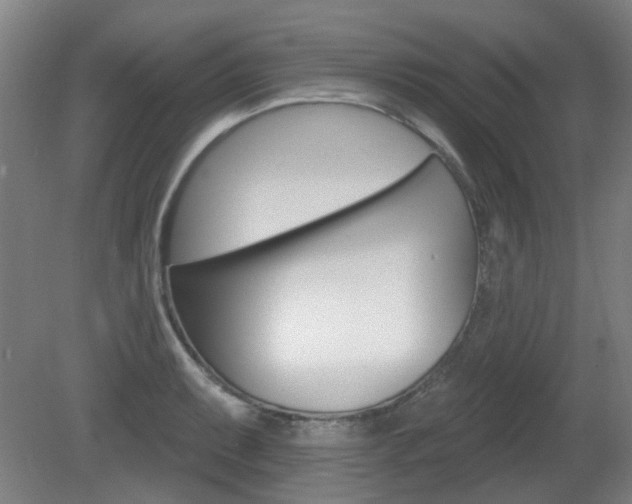 X0000082181087200701191046