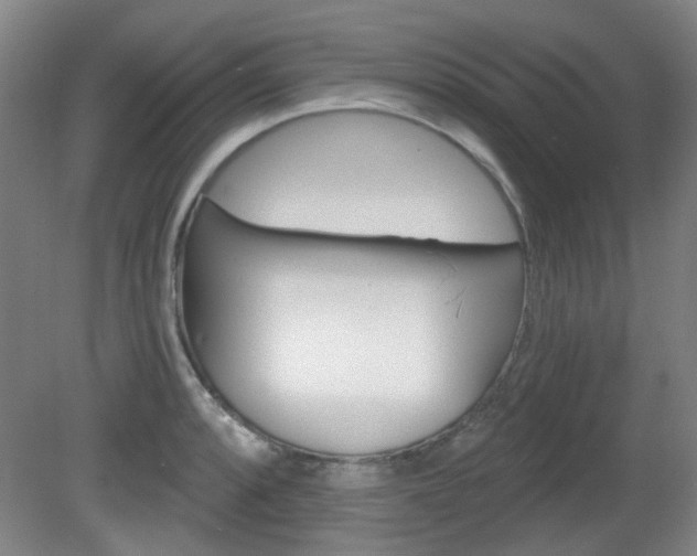 X0000082181088200701191046