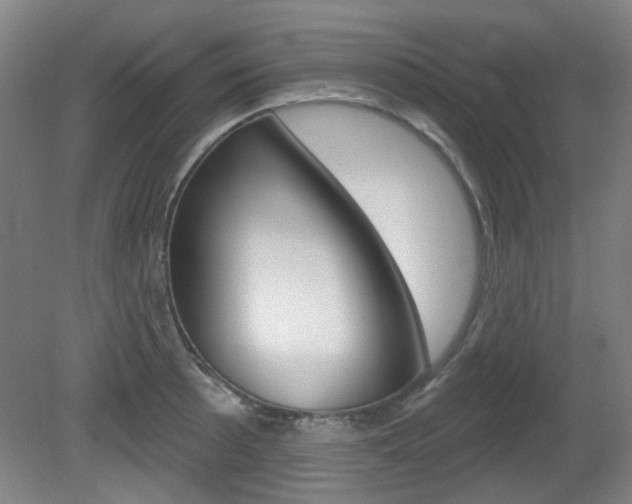 X0000082181089200701191046