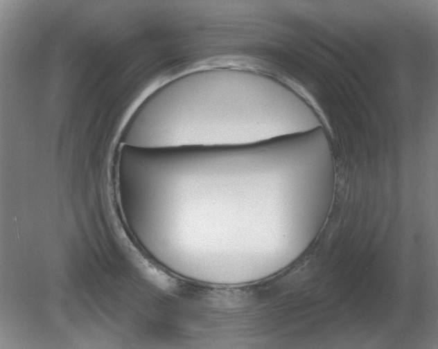 X0000082181091200701191046