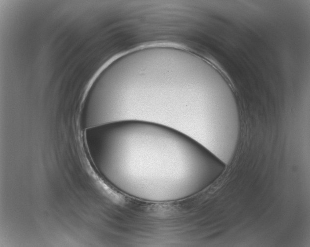 X0000082181092200701191046