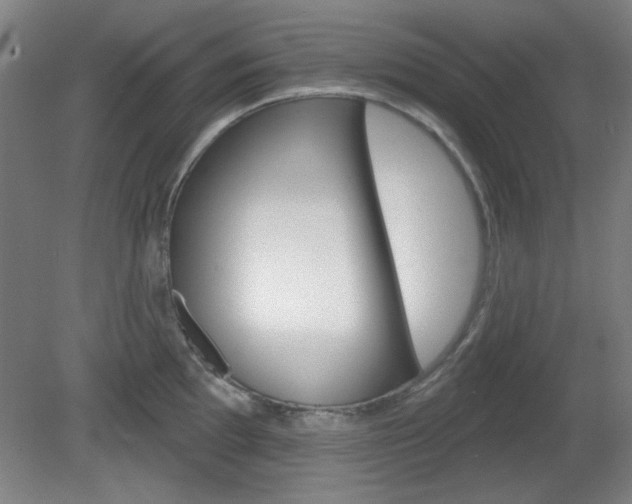 X0000082181097200701191046