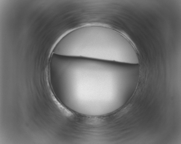 X0000082181100200701191046