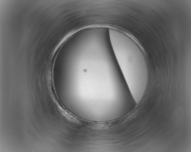 X0000082181101200701191046