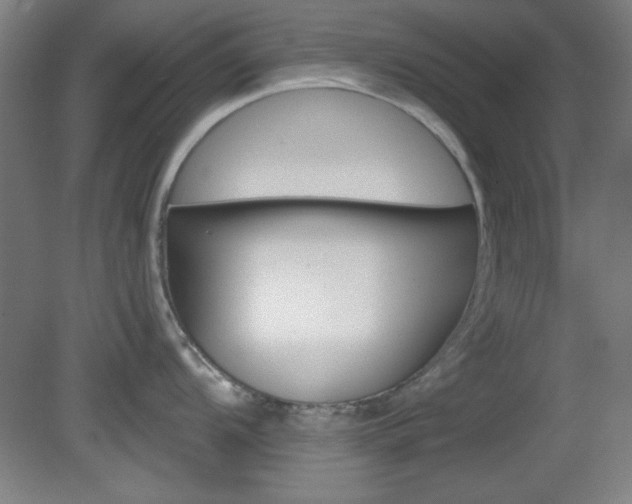 X0000082181104200701191046