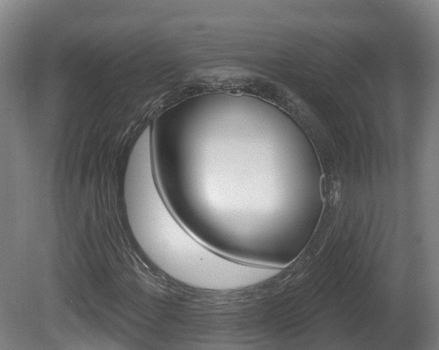 X0000082181108200701191045