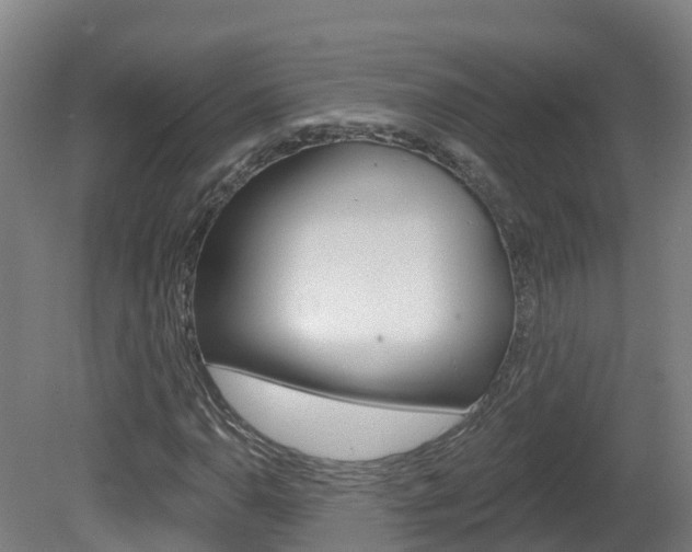 X0000082181110200701191045