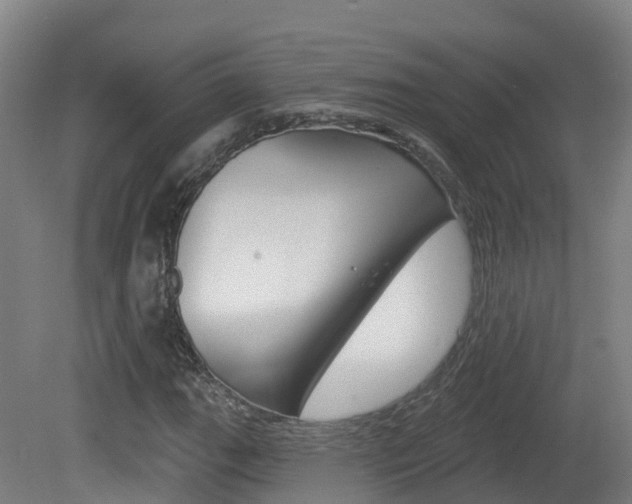 X0000082181111200701191045