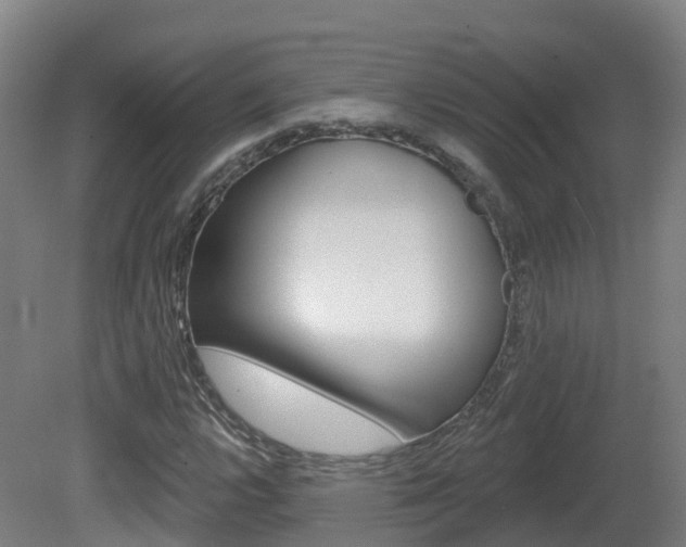 X0000082181112200701191045