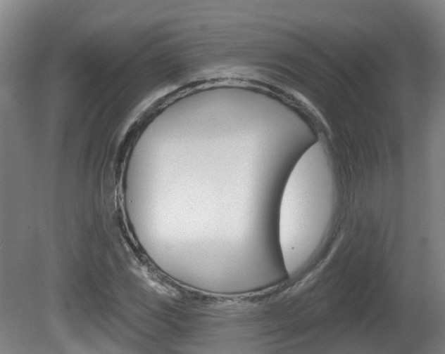X0000082181117200701191045