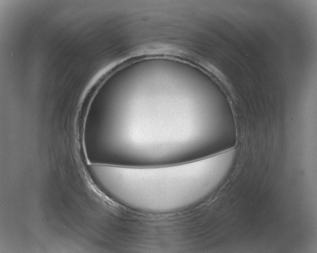 X0000082181120200701191045