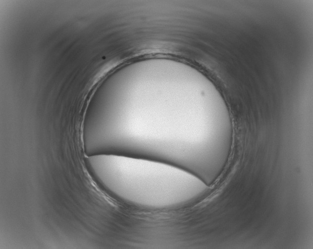 X0000082181121200701191045