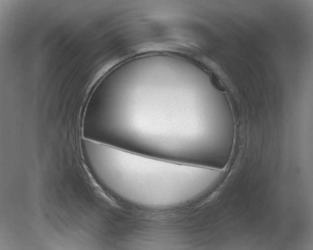 X0000082181129200701191046